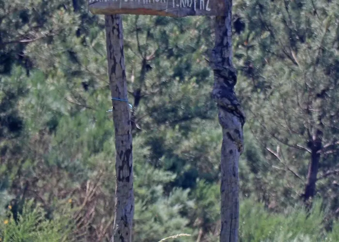 Casa Do Monte 2 カストロ・ダイレ